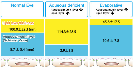 Interactive Compensation theory in tear film