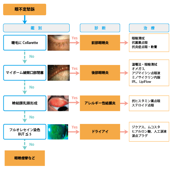 鑑別診断・治療のフローチャート