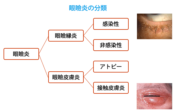 図3