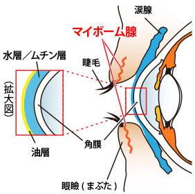 図１